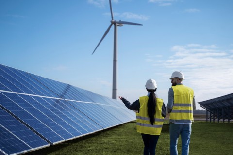WolfCRM Energía